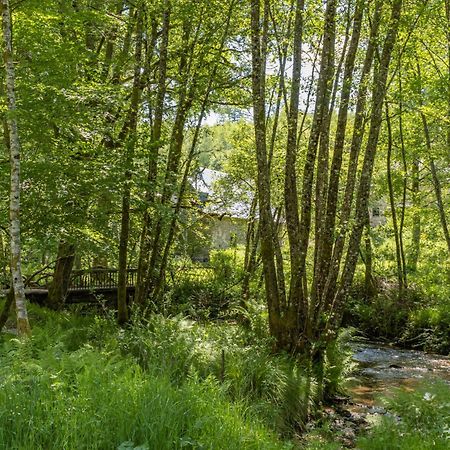 Gite Nature Le Moulin Vitrac-sur-Montane エクステリア 写真