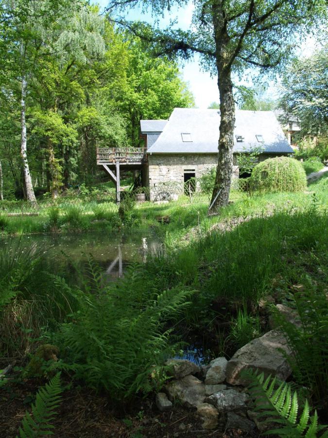 Gite Nature Le Moulin Vitrac-sur-Montane エクステリア 写真