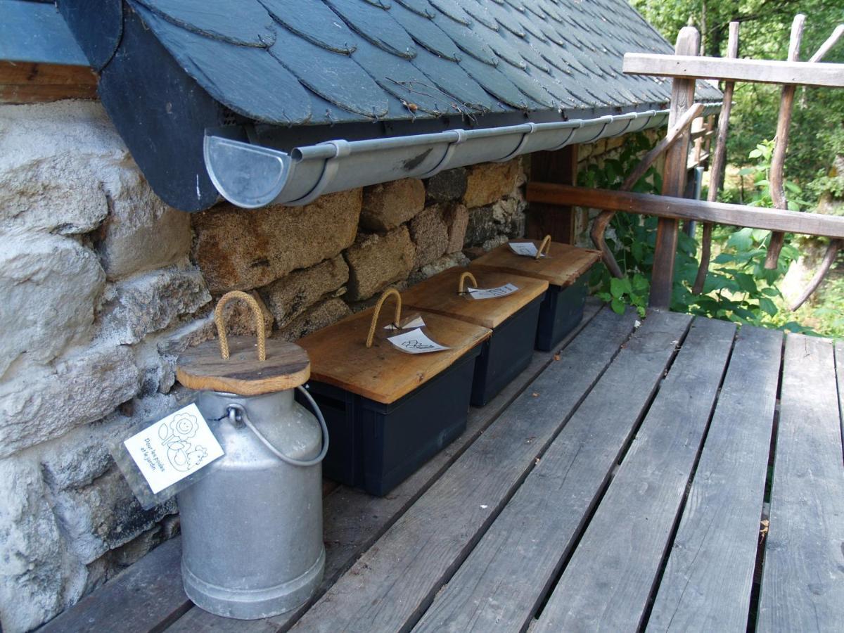 Gite Nature Le Moulin Vitrac-sur-Montane エクステリア 写真