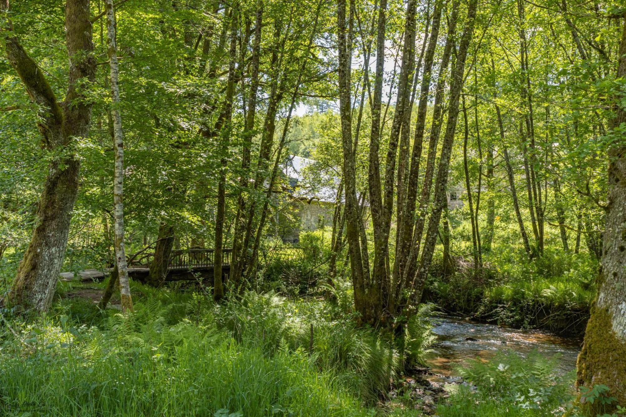 Gite Nature Le Moulin Vitrac-sur-Montane エクステリア 写真