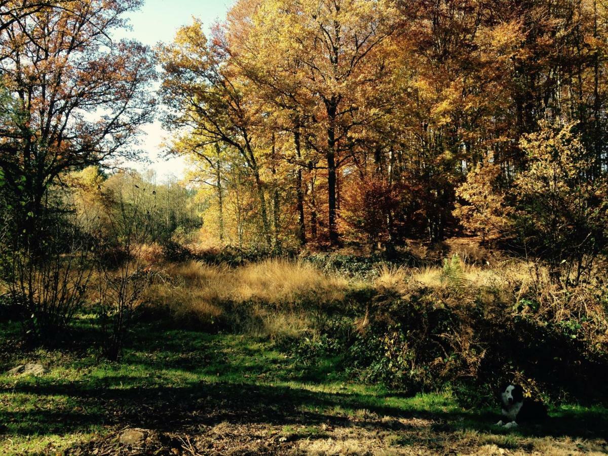 Gite Nature Le Moulin Vitrac-sur-Montane エクステリア 写真