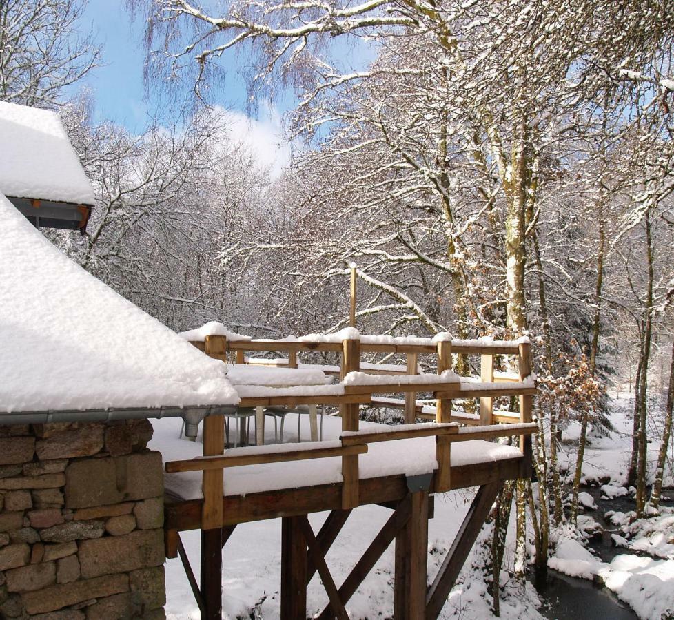Gite Nature Le Moulin Vitrac-sur-Montane エクステリア 写真