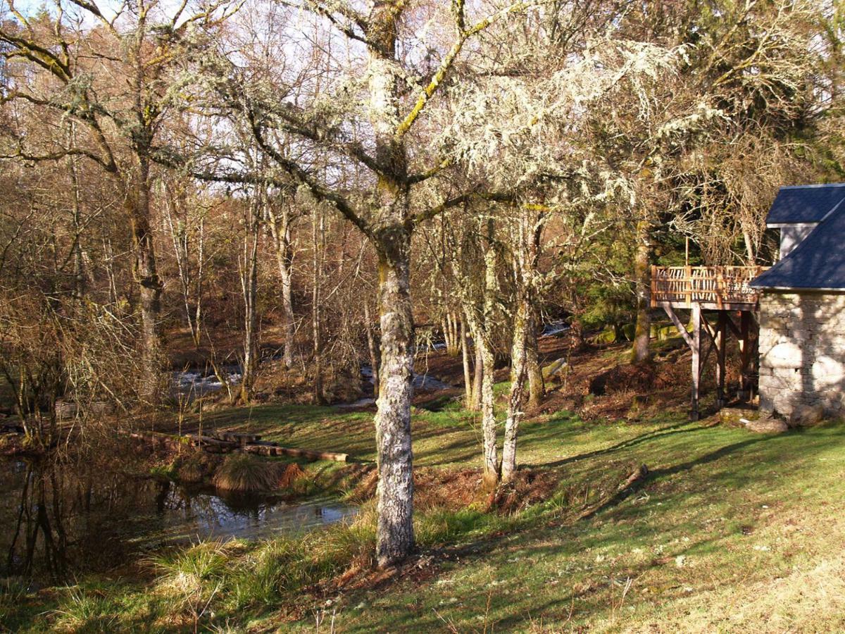 Gite Nature Le Moulin Vitrac-sur-Montane エクステリア 写真