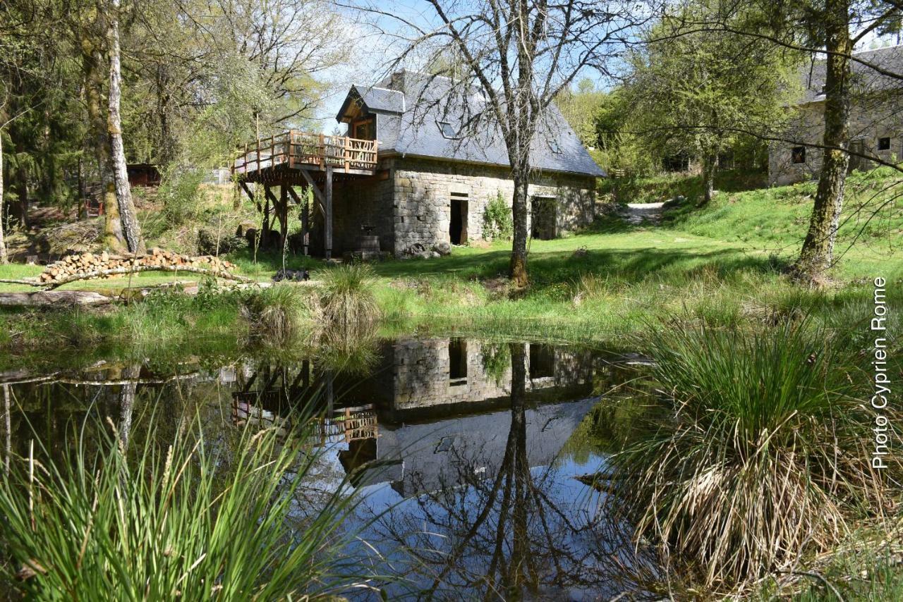 Gite Nature Le Moulin Vitrac-sur-Montane エクステリア 写真
